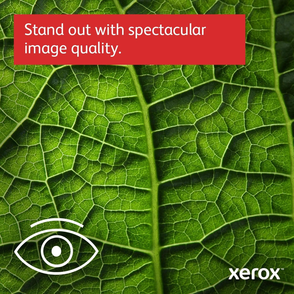 Xerox C410V/DN - drukarka - kolor - laser