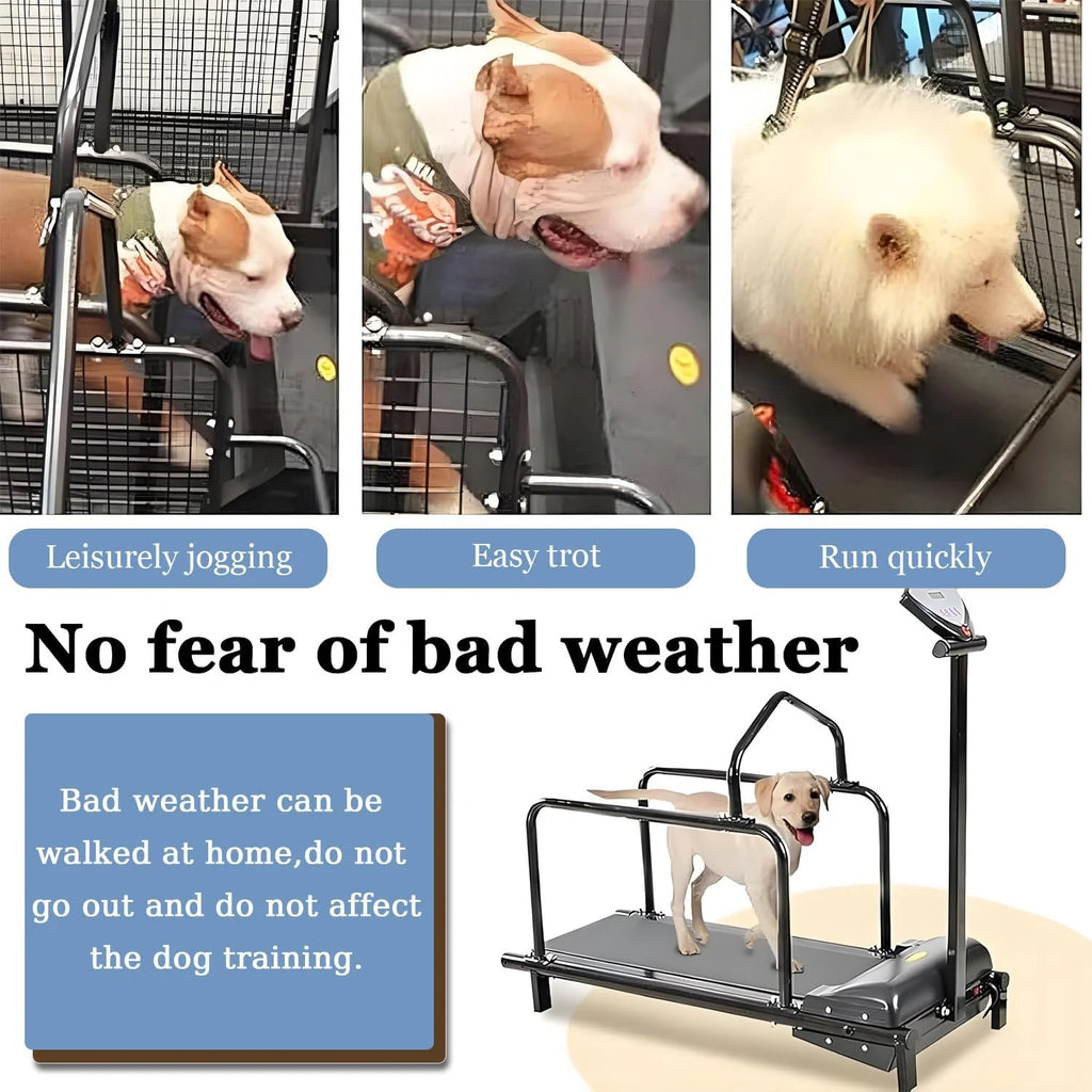 Bieżnia dla psa, bieżnia dla zwierząt, sprzęt do treningu psów, spacerów i biegania, zestaw fitness, cichy silnik z wyświetlaczem LCD, bieżnia dla zwierząt dla psów do 80 kg