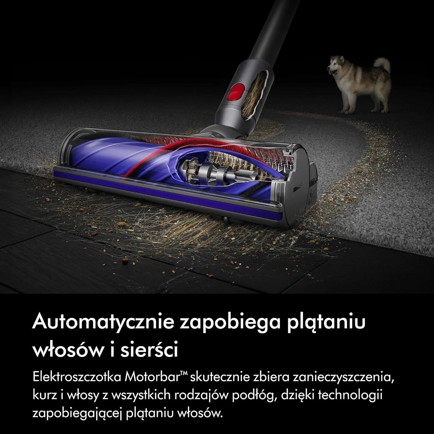 Bezprzewodowy odkurzacz pionowy Dyson V8™ Absolute (Srebro/Żółty)