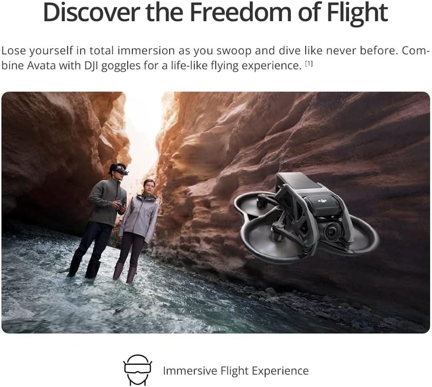DJI Avata Pro-View Combo