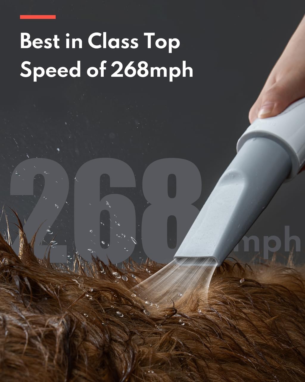 HomeRunPet Dog Dryer for Grooming, 43dB Ultra Quiet Pet Blow Dryer