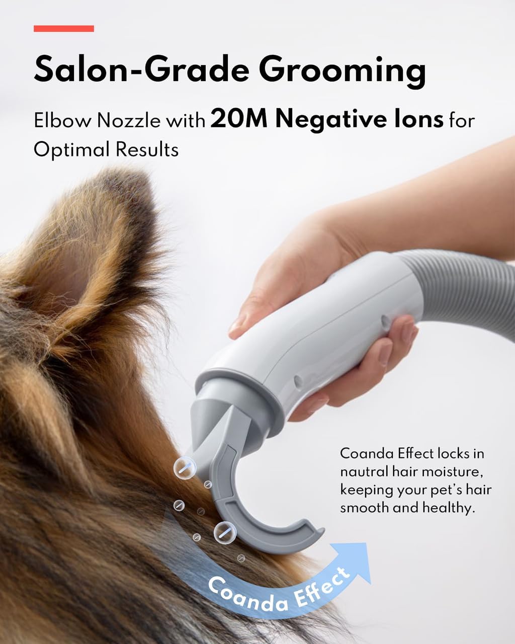 HomeRunPet Dog Dryer for Grooming, 43dB Ultra Quiet Pet Blow Dryer