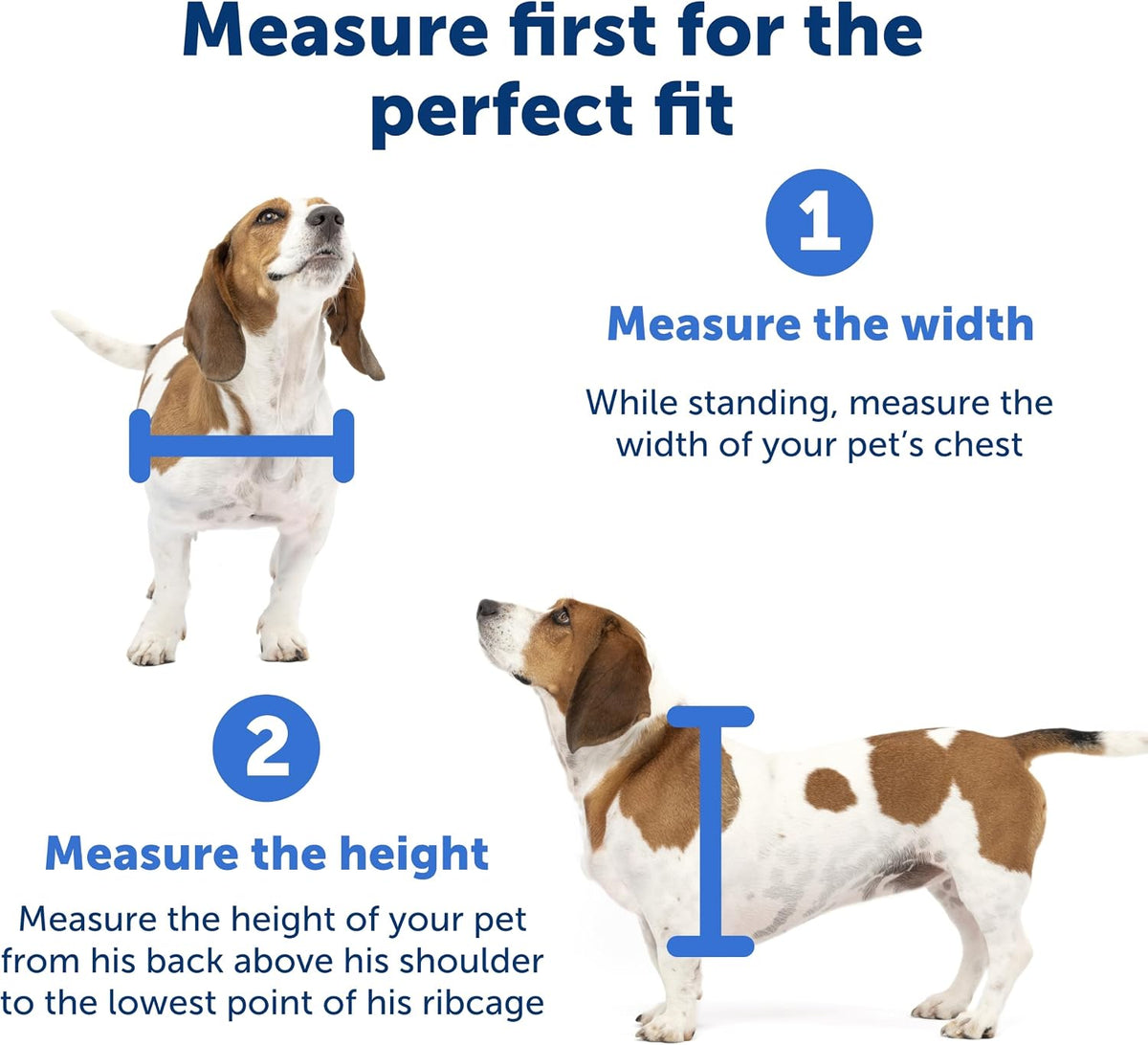 PetSafe Wall Entry Pet Door, Telescoping, Dogs up to 40 lb, Medium