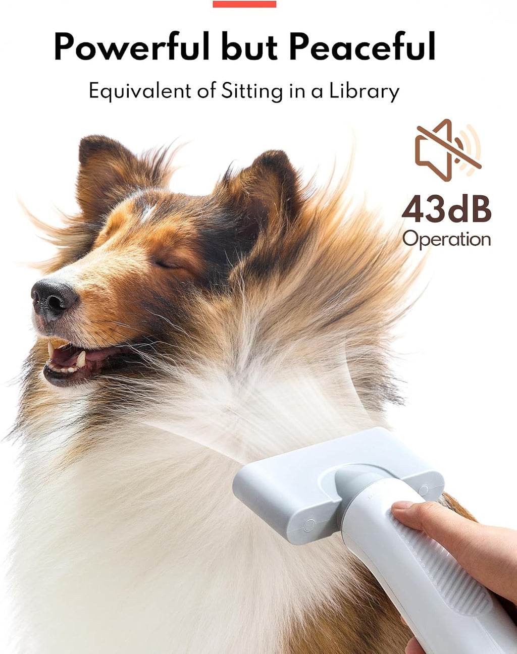 HomeRunPet Dog Dryer for Grooming, 43dB Ultra Quiet Pet Blow Dryer