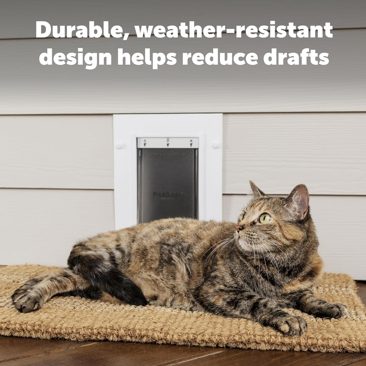 PetSafe Wall Entry Pet Door, Telescoping, Dogs up to 40 lb, Medium