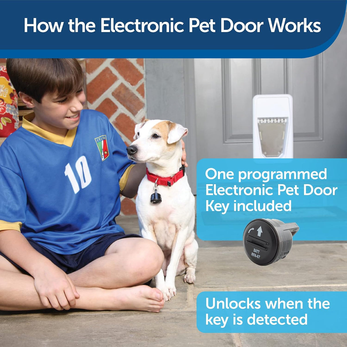 PetSafe Electronic Pet Door, Collar Key Sensor, Dogs Up to 100 lb, Large