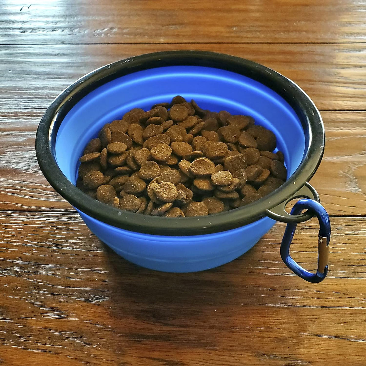 Pet Emergency Survival Kit for Big Dogs