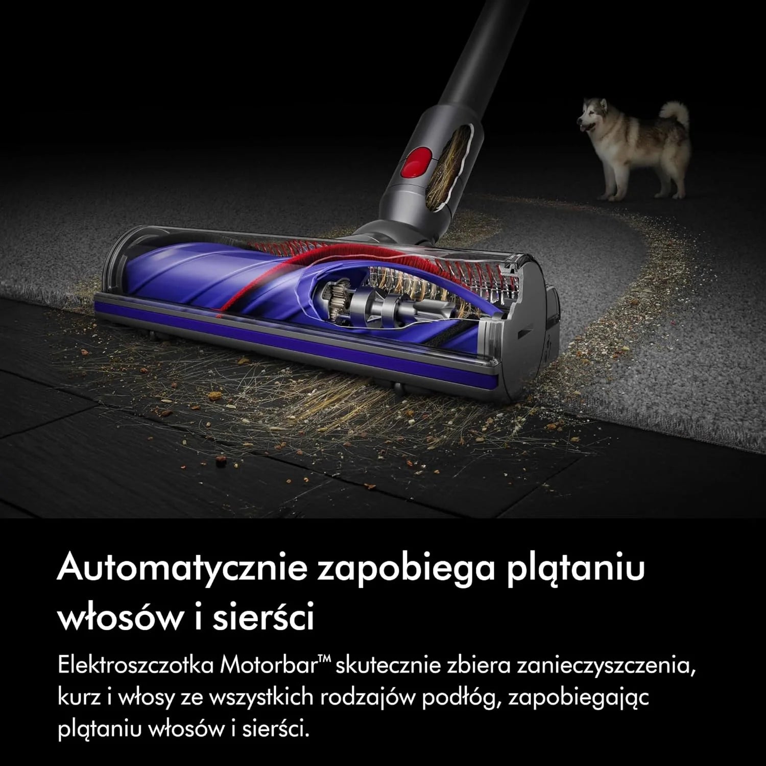 Bezprzewodowy odkurzacz pionowy Dyson V8™ Absolute (Srebro/Żółty)