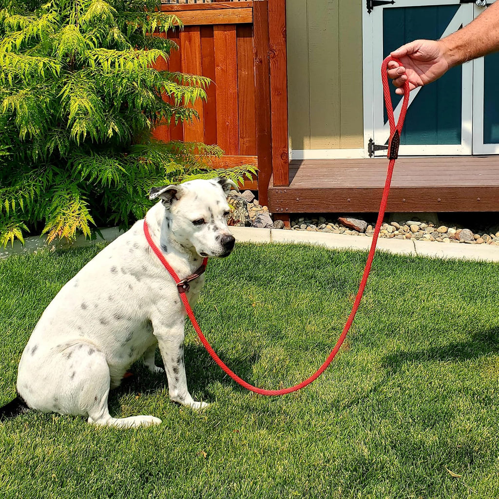 Pet Emergency Survival Kit for Big Dogs