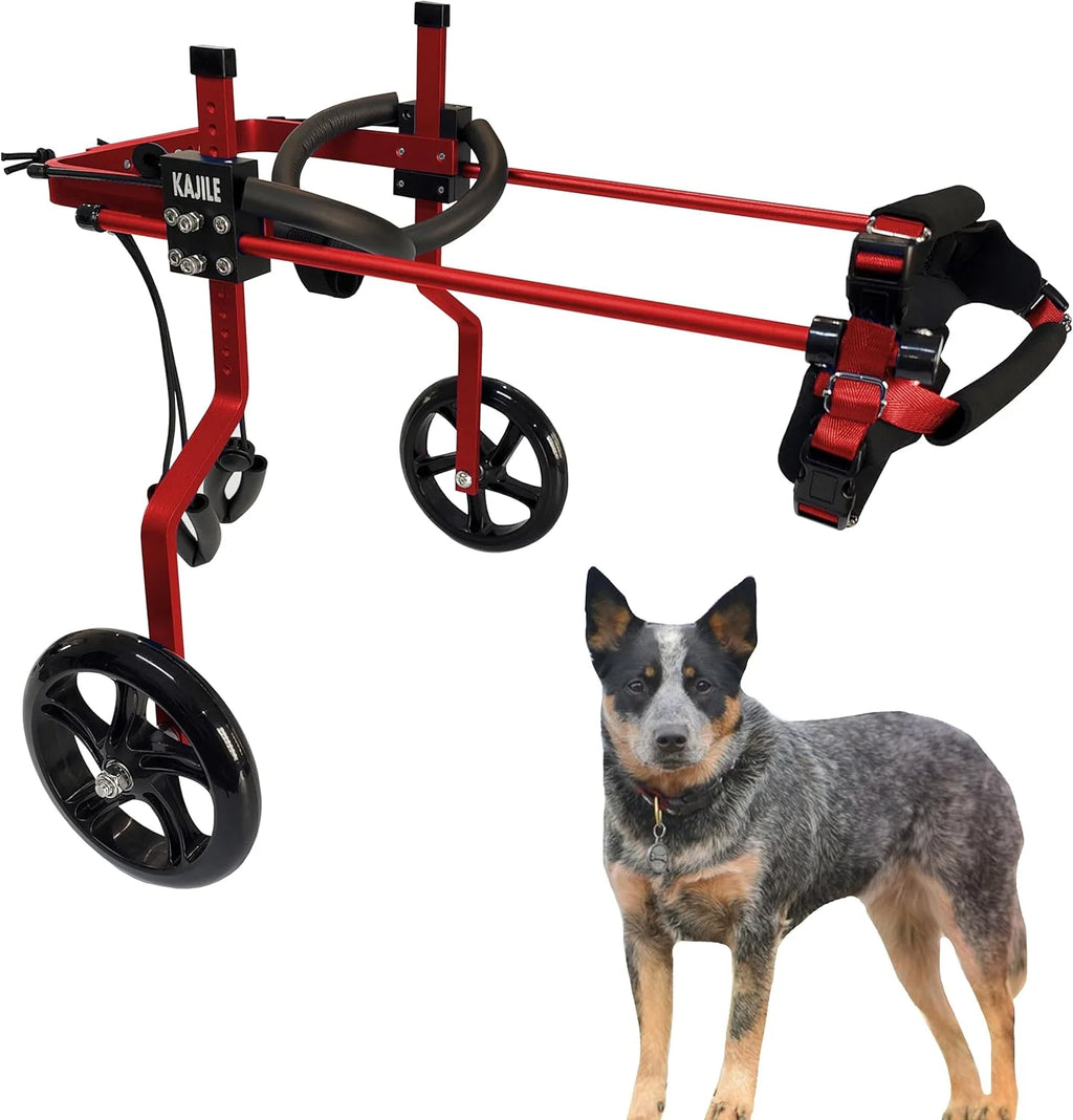 Regulowany Psa Wózek Inwalidzki,Wózek Zwierząt,Trening Rehabilitacyjny Psów Niepełnosprawnych Słabych Tylnych,Pasować Wysokości Zwierzęcia 55-70cm,Szerokość 24-32cm,Długość 35-45cm,XXL-2